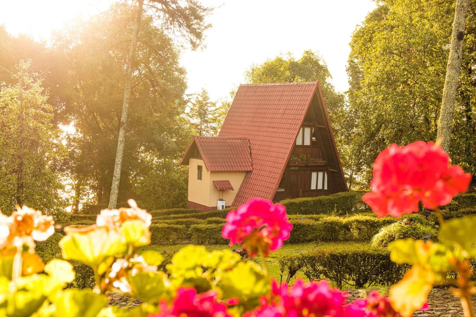 Zirahuen Forest And Resort Eksteriør bilde